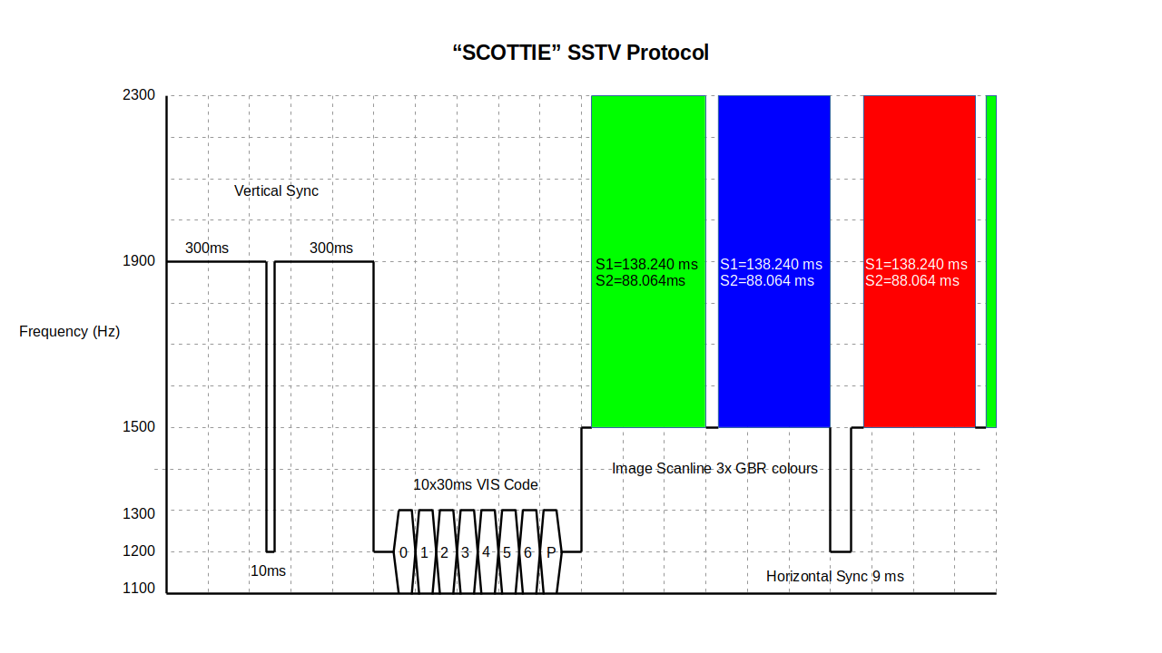 scottie.png